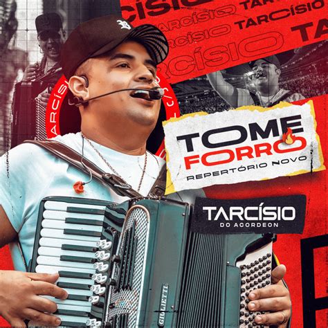 Tarcísio do Acordeon (letra da música) .